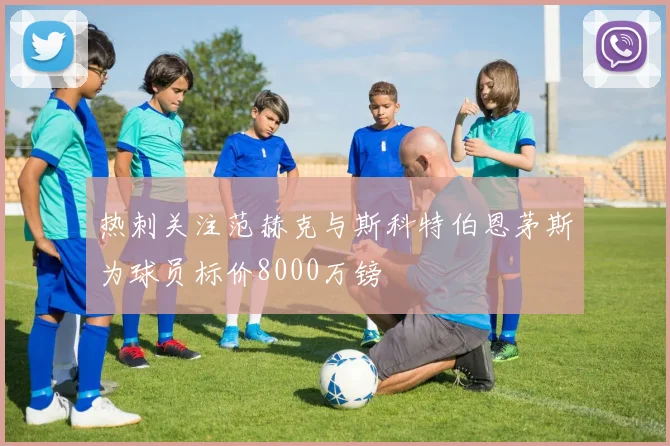 热刺关注范赫克与斯科特伯恩茅斯为球员标价8000万镑
